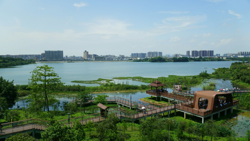 盤點(diǎn)深圳十大最美公園，你最愛的是哪個公園？